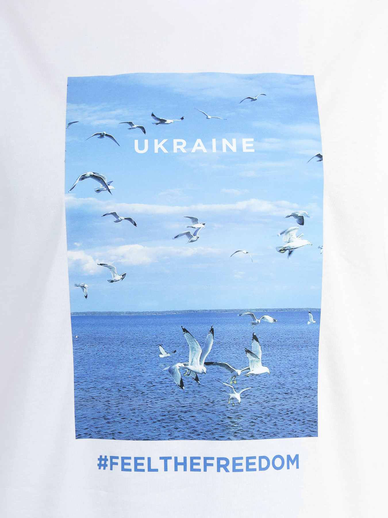 Футболка Arber модель F13.11.00.232 Фото