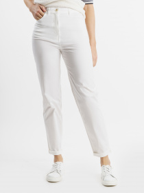 Чиносы Arber модель W01.18.00.213 Фото