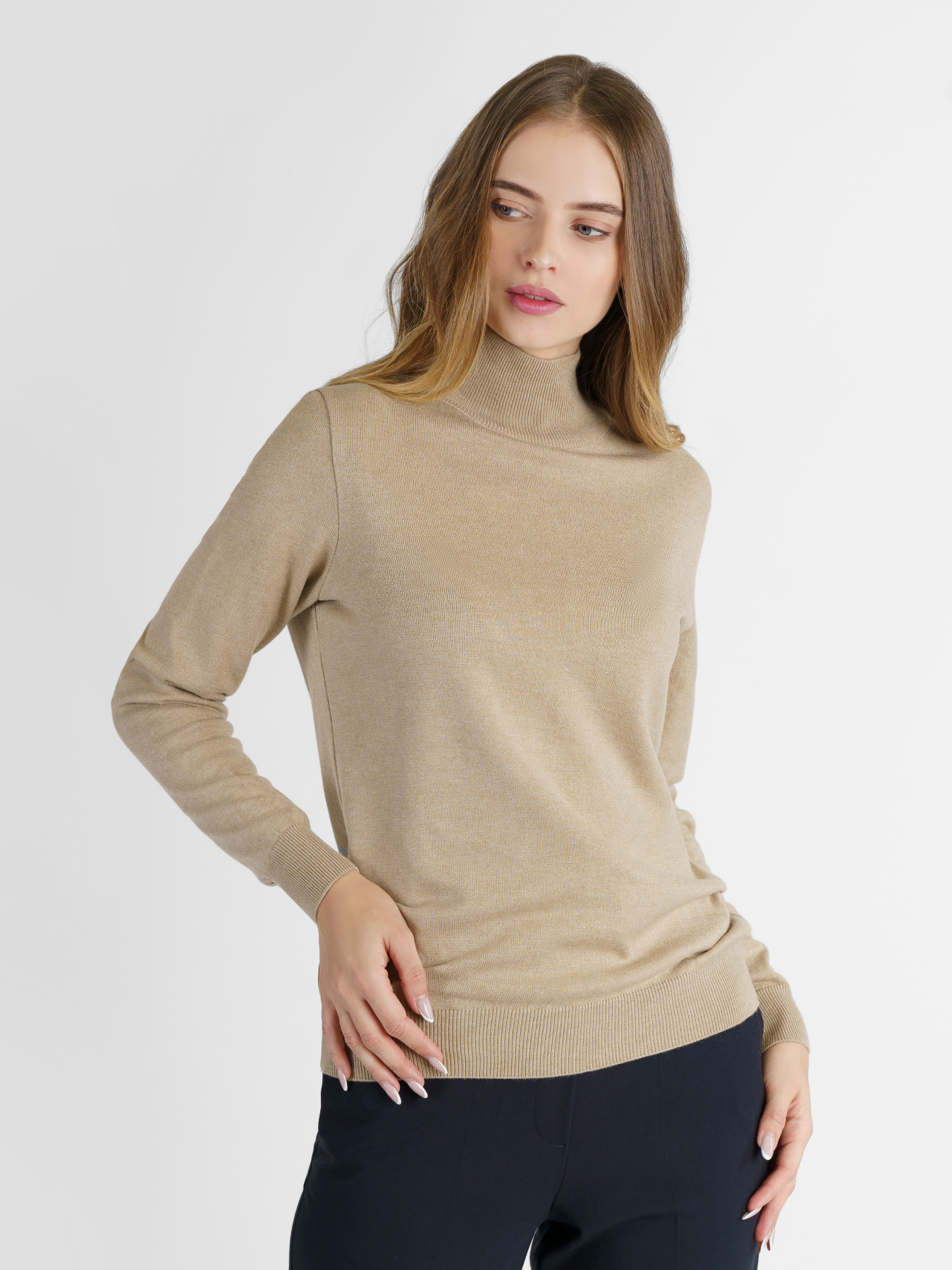 Водолазка Arber модель W10.06.16.231 Фото