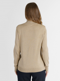 Водолазка Arber модель W10.06.16.231 Фото