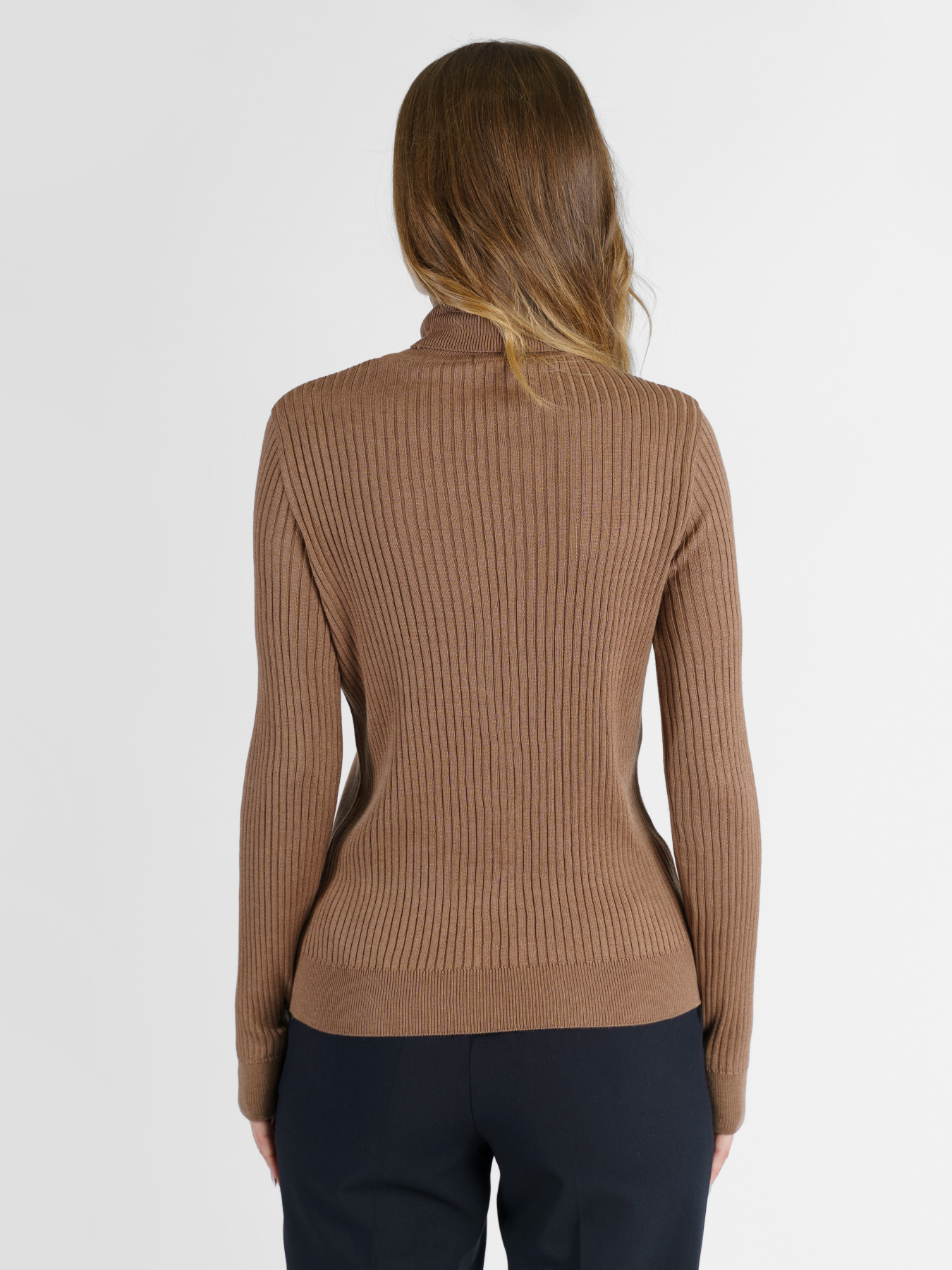 Водолазка Arber модель W10.33.16.231 Фото