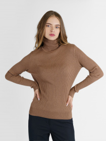 Водолазка Arber модель W10.33.16.231 Водолазка Arber модель W10.33.16.231 Фото