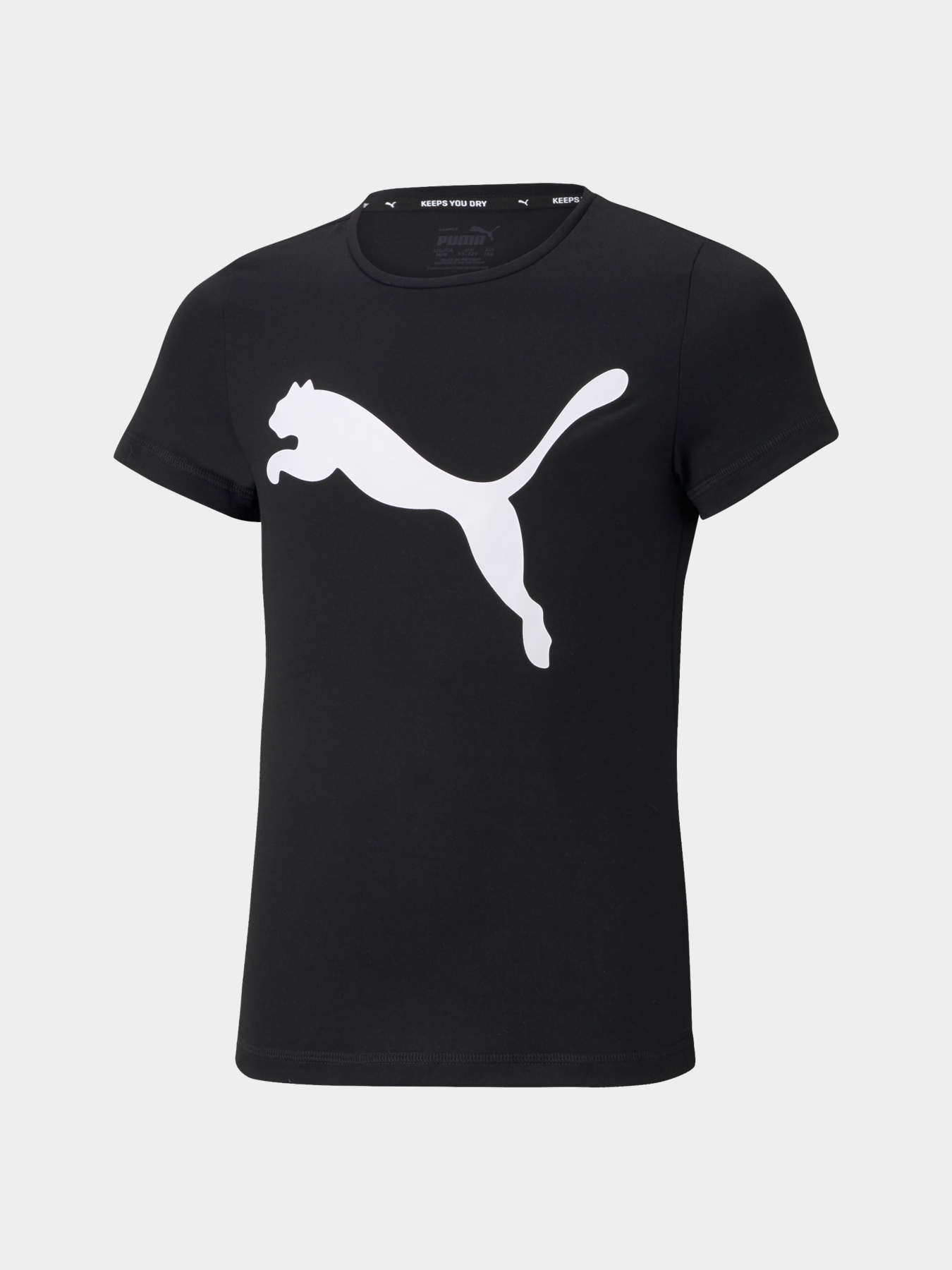 Футболка PUMA Active Tee модель 587007 Фото