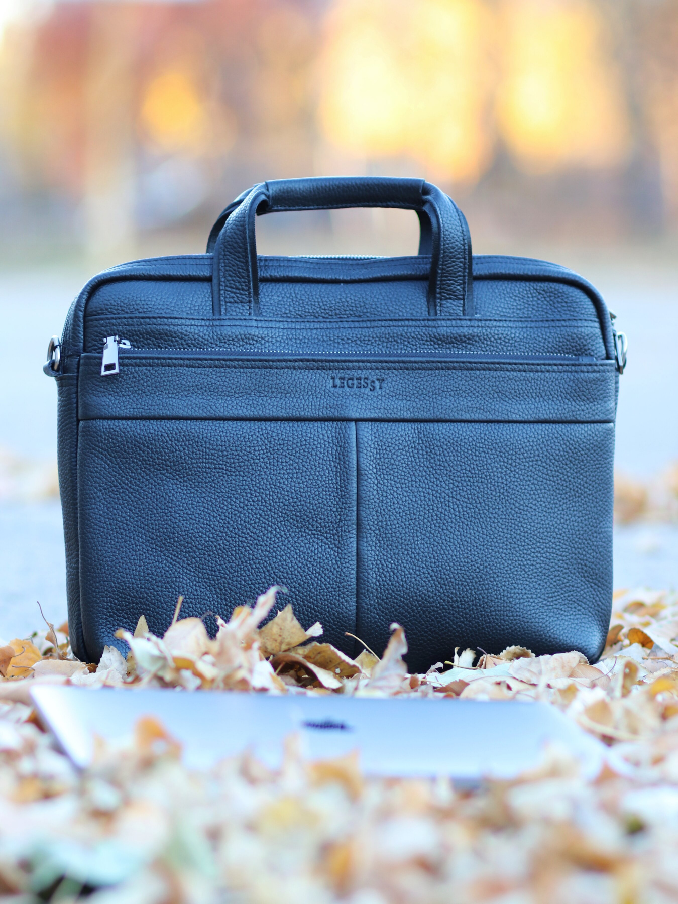 Портфель Legessy модель F46 Фото