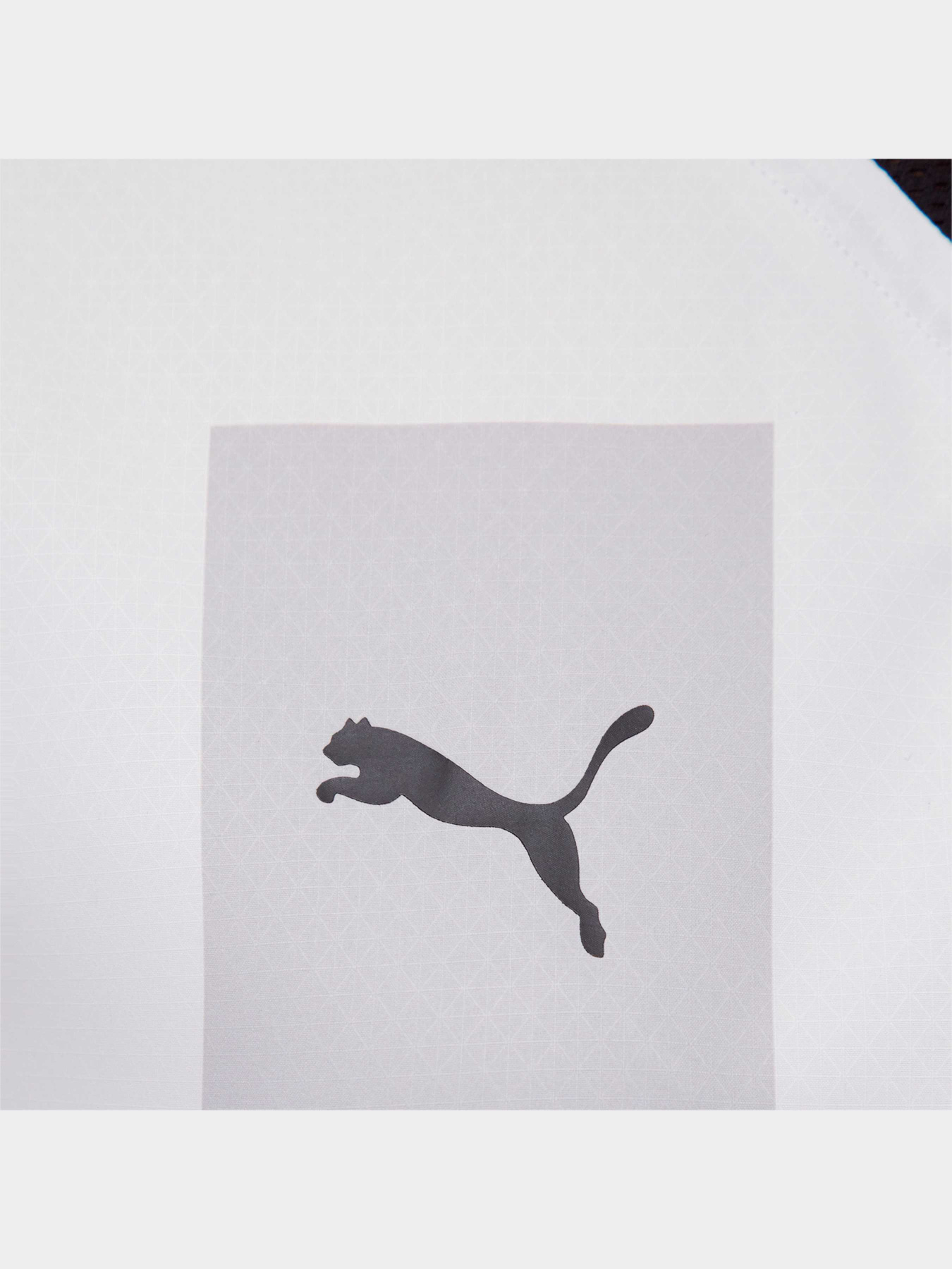 Футболка спортивная PUMA Fcsd 3rd Jersey Promo W модель 765632 Фото