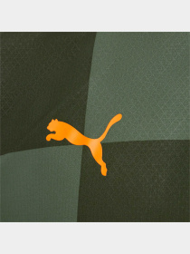 Футболка спортивная PUMA Fcsd Away Jersey Promo модель 765634 Фото