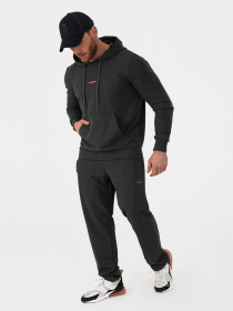 Штаны спортивные AVECS модель 50314-17 Фото