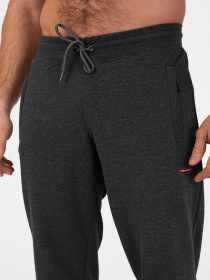 Штаны спортивные AVECS модель 50314-17 Фото