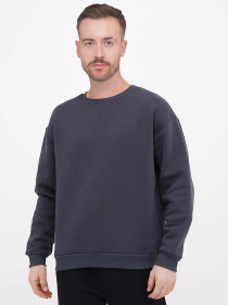 Свитшот Chikiss модель CMS002-017 Фото