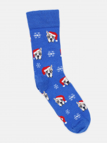 Носки C&A модель 67604 Фото