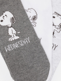 Набір шкарпеток C&A модель 67386 Фото