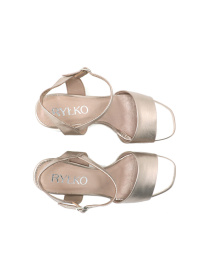 RYLKO модель 8PH61_T1_ZD7 Фото