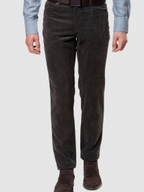 Брюки повседневные Arber модель AM01.21.30 Фото