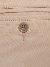 Чиносы Arber модель AM01.37.10 Фото