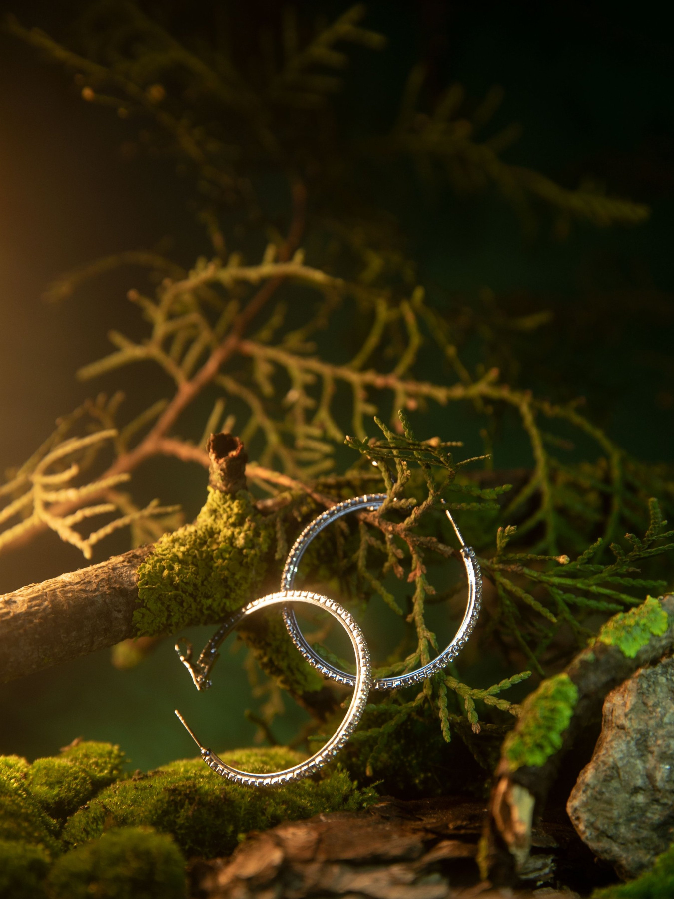 Серьги-кольца Gepur модель 43560 Фото