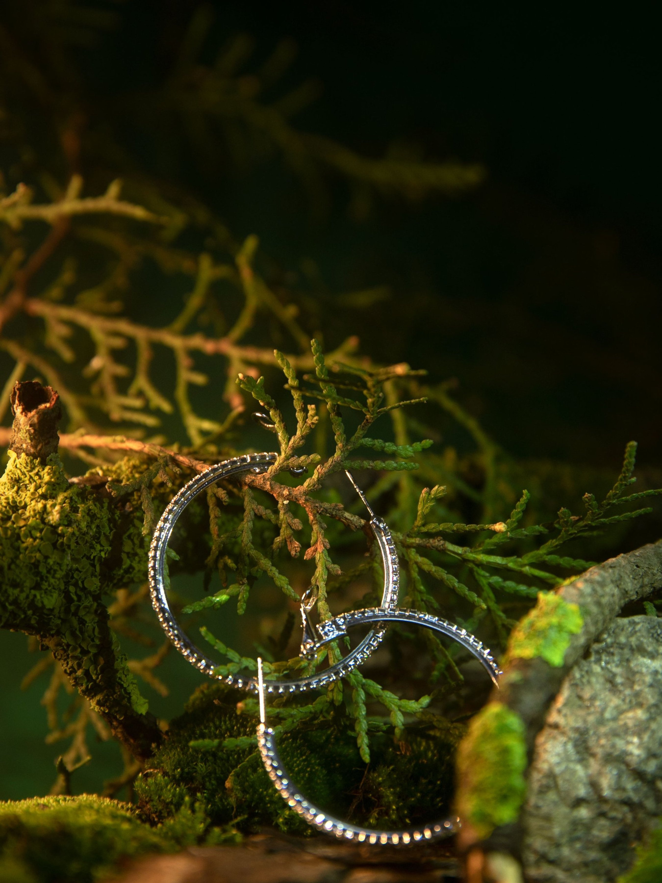 Серьги-кольца Gepur модель 43560 Фото