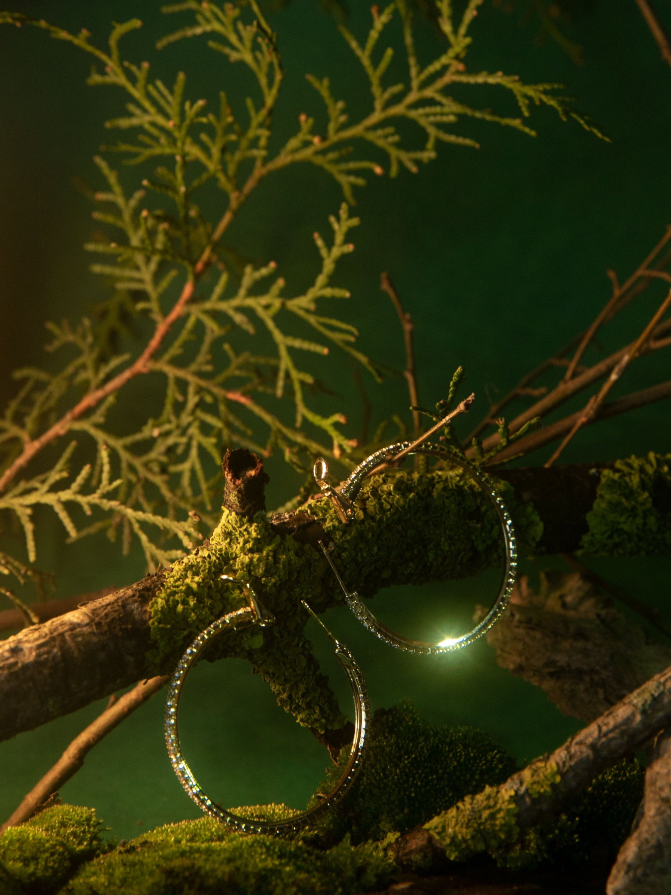 Серьги-кольца Gepur модель 43561 Фото