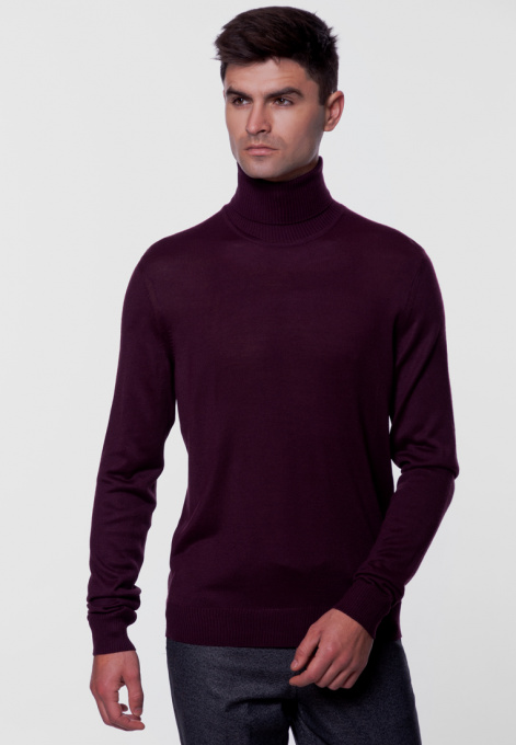 Джемпер Arber модель AM10.30.30 Фото