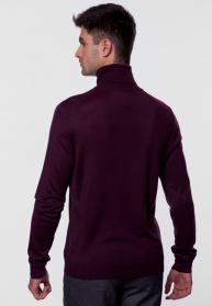 Джемпер Arber модель AM10.30.30 Фото