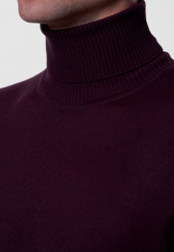 Джемпер Arber модель AM10.30.30 Фото