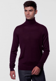 Джемпер Arber модель AM10.30.30 Фото