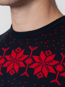 Джемпер Arber модель AM10.46.30 Фото