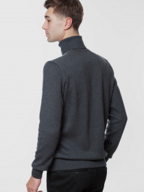 Водолазка Arber модель AM10.54.30 Фото