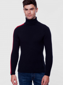 Водолазка Arber модель AM10.56.30 Фото