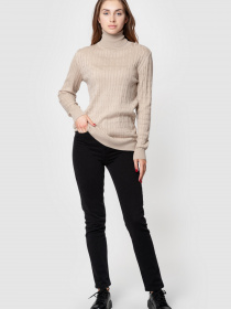 Водолазка Arber модель AMW10.06.16 Фото