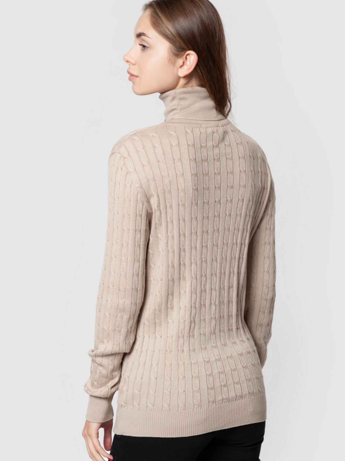 Водолазка Arber модель AMW10.06.16 Фото