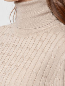 Водолазка Arber модель AMW10.06.16 Фото