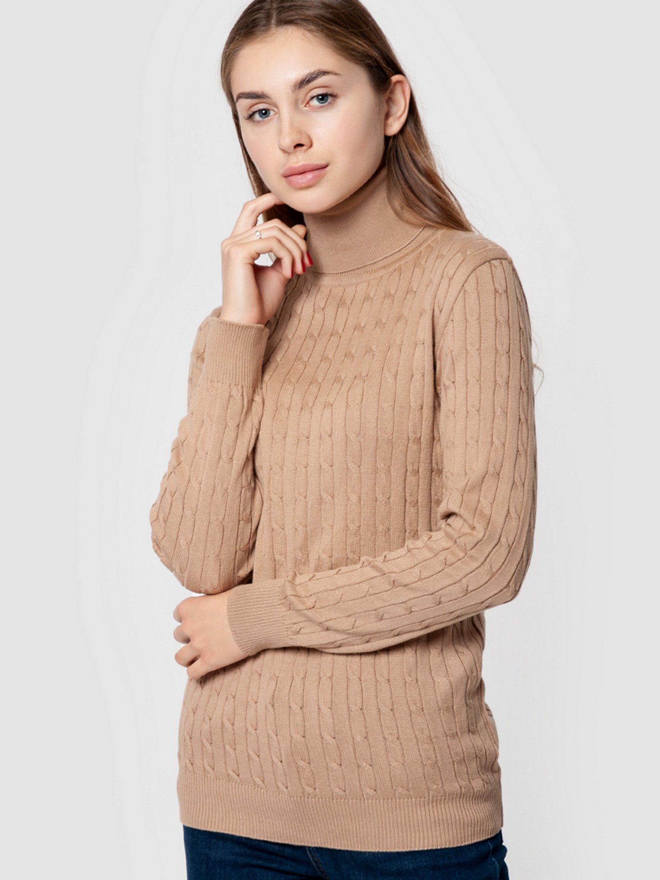 Водолазка Arber модель AMW10.06.17 Водолазка Arber модель AMW10.06.17 Фото