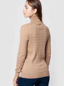 Водолазка Arber модель AMW10.06.17 Водолазка Arber модель AMW10.06.17 Фото