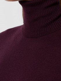 Водолазка Arber модель AMW10.09.18 Фото