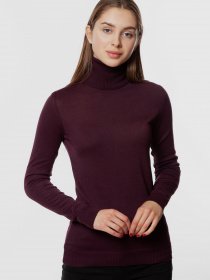 Водолазка Arber модель AMW10.09.18 Фото