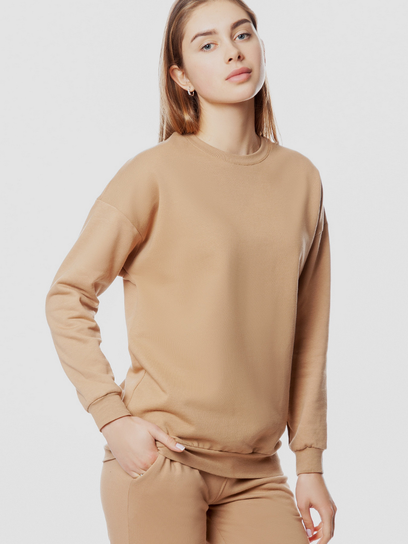 Світшот Arber модель AMW17.03.16 Фото