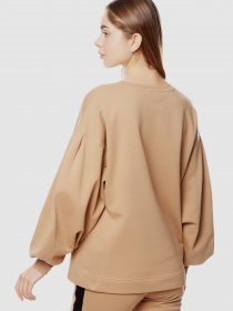 Світшот Arber модель AMW17.07.16 Фото