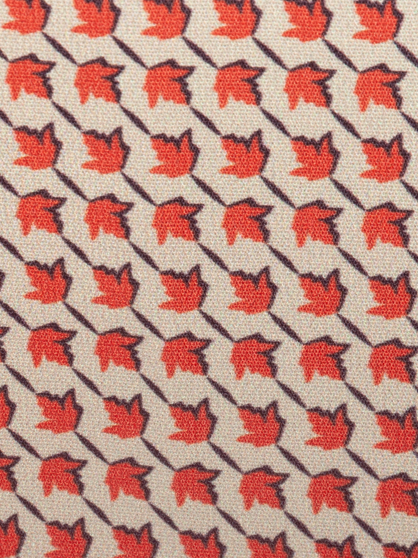 Сукня міді Arber модель AMW22.06.17 Фото