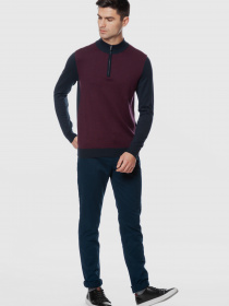 Повседневные штаны Arber модель AN01.36.31 Фото