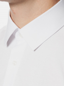 Рубашка повседневная Arber модель AR05.04.01 Фото