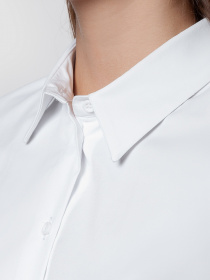 Сорочки Arber модель ARW05.01.00 Фото