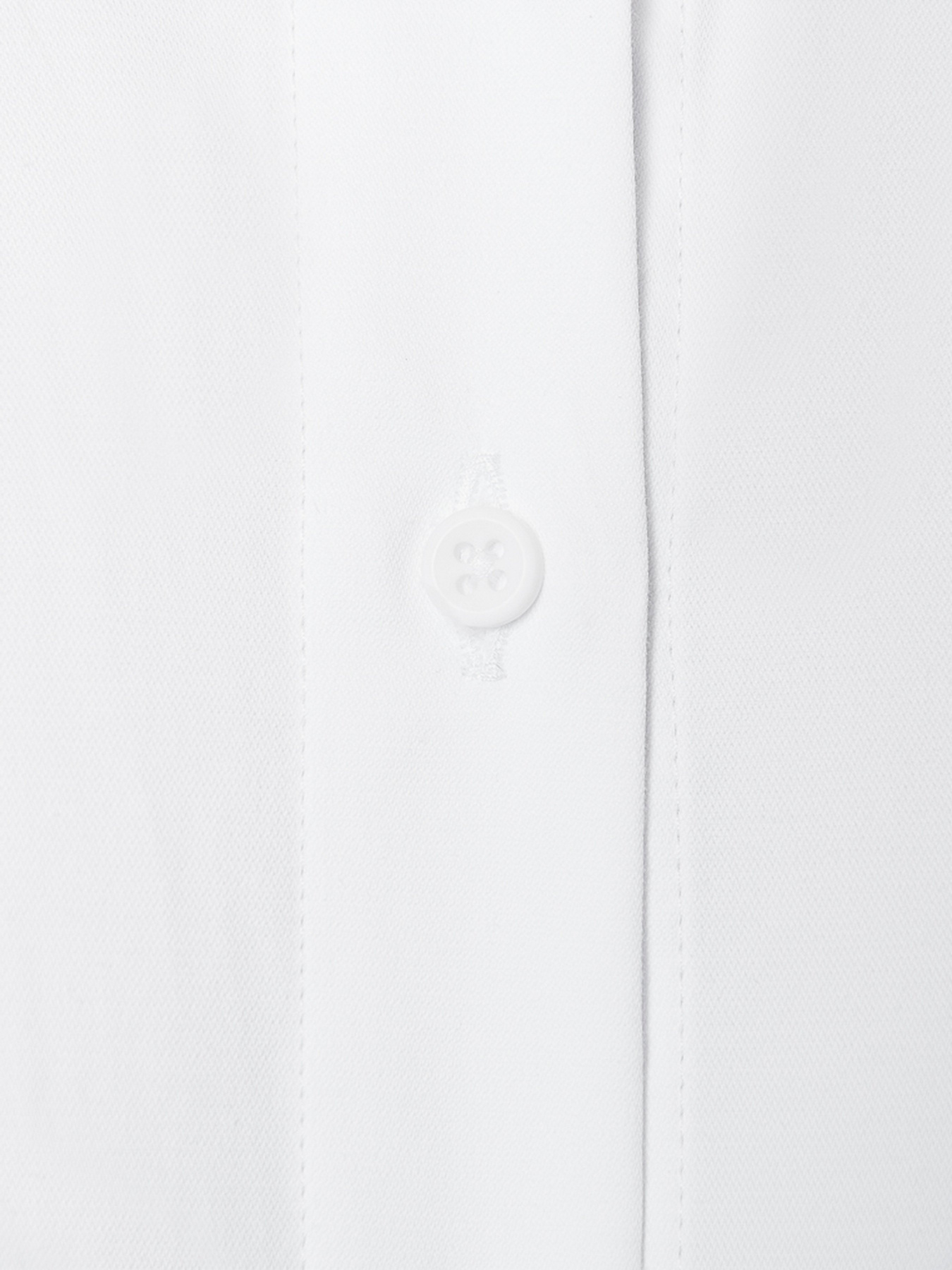 Рубашки Arber модель ARW05.01.00 Фото