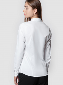 Рубашки Arber модель ARW05.01.00 Фото