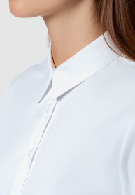 Сорочки Arber модель ARW05.02.00 Фото