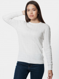 Худи и свитшоты Arber модель ARW10.01.00 Худи и свитшоты Arber модель ARW10.01.00 Фото