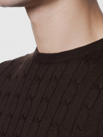 Джемпер Arber модель GM10.05.30 Фото