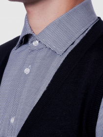 Класичний жилет Arber модель GM10.59.30 Фото