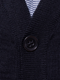 Класичний жилет Arber модель GM10.59.30 Фото