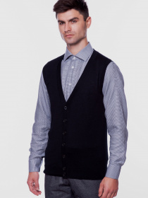 Класичний жилет Arber модель GM10.59.30 Фото