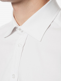 Сорочка повсякденна Arber модель GN05.09.30 Сорочка повсякденна Arber модель GN05.09.30 Фото